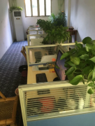 成都金牛区台式办公电脑，公司倒闭 低价甩卖 平均8成新